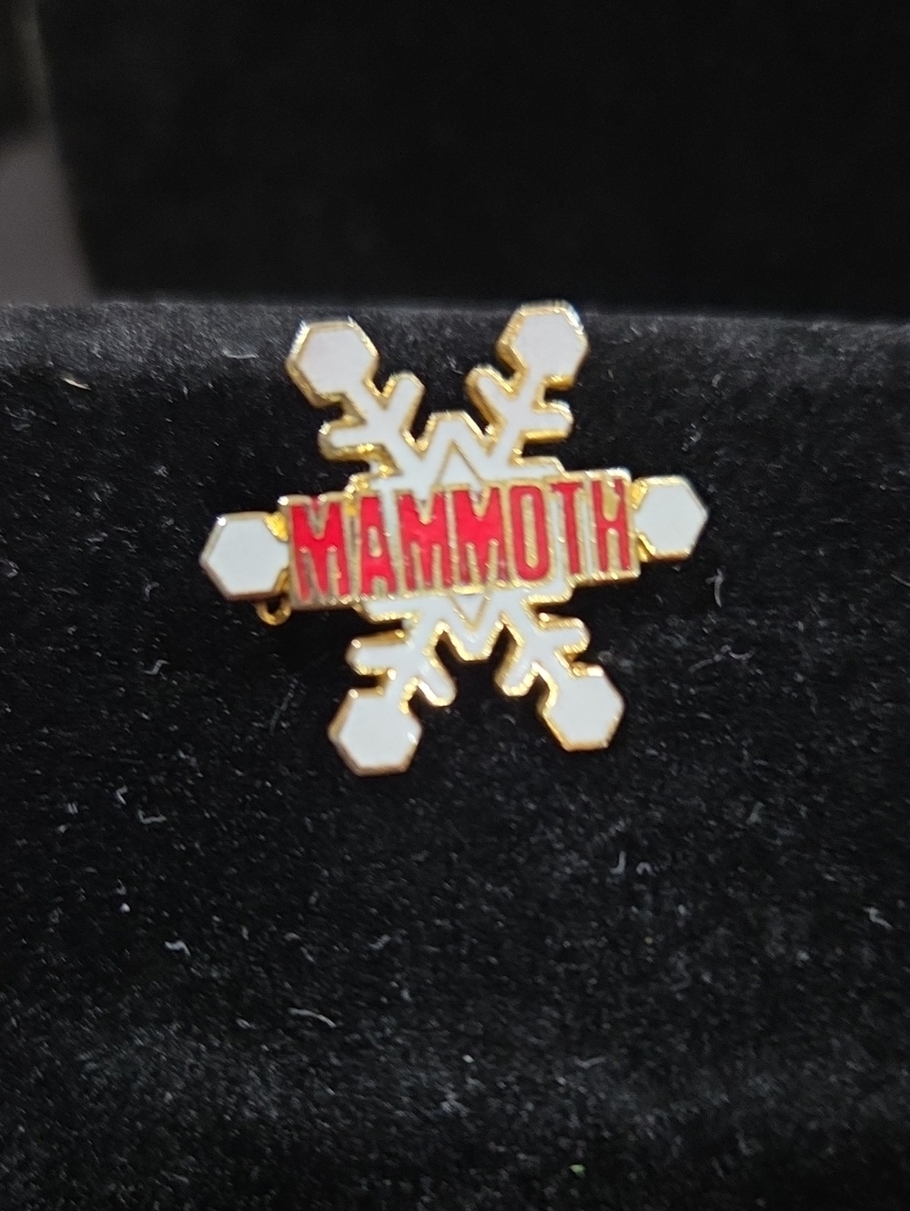 VINTAGE MAMMOTH MOUNTAIN SKI RESORT PIN